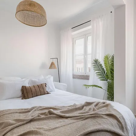 Typical 2br In Campolide Лиссабон